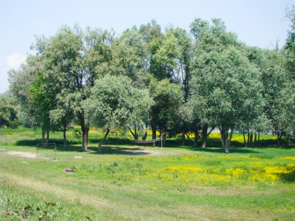 Naselje Donji Varoš